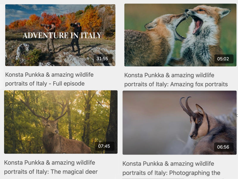 The Ultimate Adventure & Wildlife Photography Masterclass by Konsta Punkka -THE LIMITED EARLY BIRD DISCOUNT -40% OFF